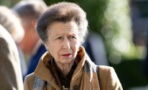 Princess Anne named the hardest-working royal in 2024 for the fourth year in a row