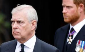 Prince Andrew: New book reveals Angela Rayner refused to support his