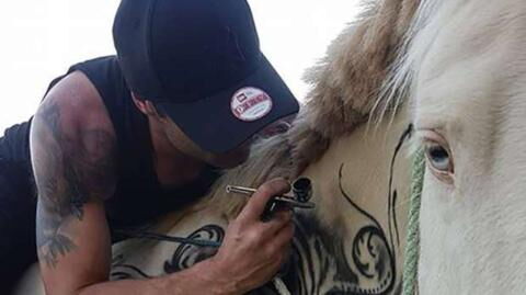 This man tattooed his horse and left everyone speechless