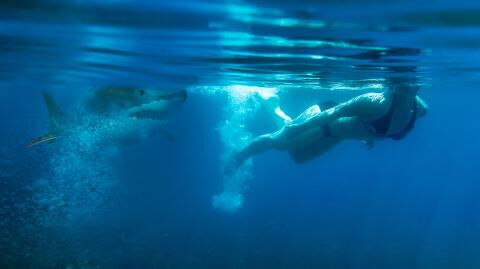 Two swimmers brutally attacked by sharks on the same day and in the same place