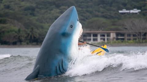 These three men were attacked by sharks in the middle of deep waters