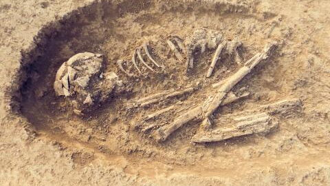 Skeletal remains of the oldest 'European' in history discovered by researchers