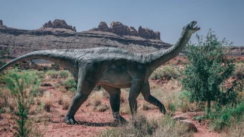 Never-seen-before remains of possibly the largest dinosaur in Europe have been discovered