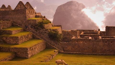 Archeologists discover a strange 1,000-year-old children's cemetery in Peru