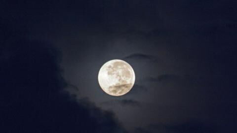 Here’s What the New Moon on August 19 Has in Store for You