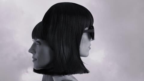 Each sign of the Zodiac has two faces and this is what they look like