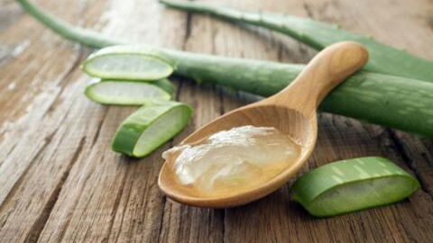 The Benefits Of Using Aloe Vera Gel
