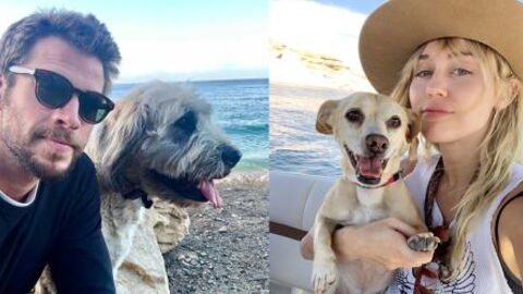 Miley Cyrus And Liam Hemsworth’s Divorce: Who Will Get Custody Of Their 13 Pets?