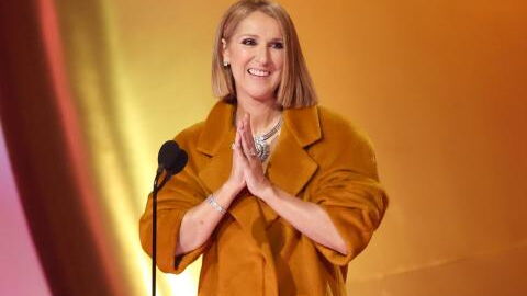 Céline Dion singer evolution looks career style