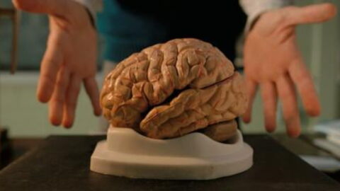 Study reveals the surprising phenomenon that happens in your brain right before you die