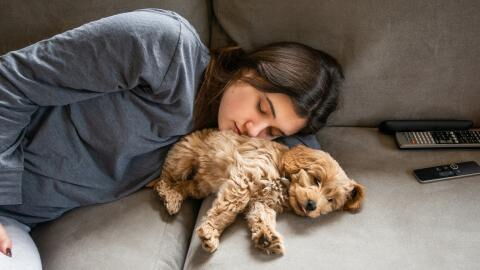 Sleeping with your dog at night: Everything to know before letting your pet inside your bed