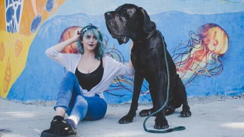 Rescue’s heartbreak as massive 60kg dog spends years at the shelter