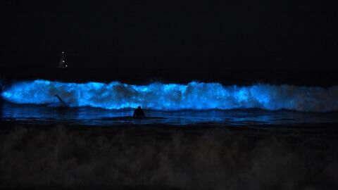 Rare phenomenon of glow-in-the-dark sea captured in first image