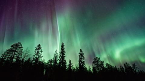 The Northern Lights could be seen tonight, August 18, if you’re lucky