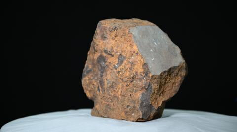 Never-seen-before 7.6 kg meteorite discovered in Antarctica (PHOTOS)