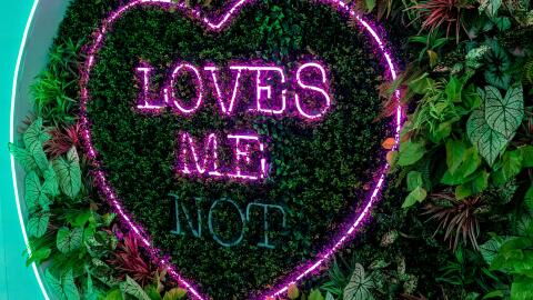 Love Island: Jamie Allen is a huge player and only wants fame, claims friends