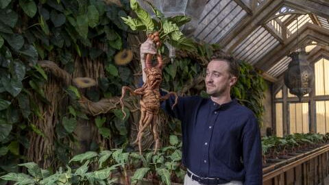 Harry Potter actor Tom Felton earned a whopping £14 million, this is what he spent it on