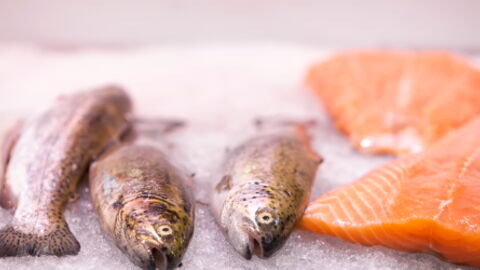 How Long Can You Keep Fish and Seafood In The Freezer?