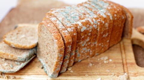 Here's what happens if you eat mouldy food