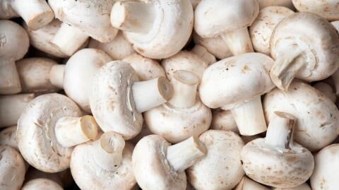 This simple trick will supercharge your mushrooms
