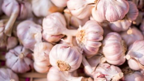 Garlic: How sleeping with garlic under your pillow could improve your health
