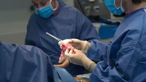 Woman without womb gives birth to two after uterus transplant