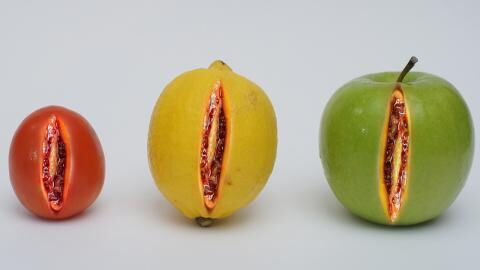 4 things you should never put inside your vagina