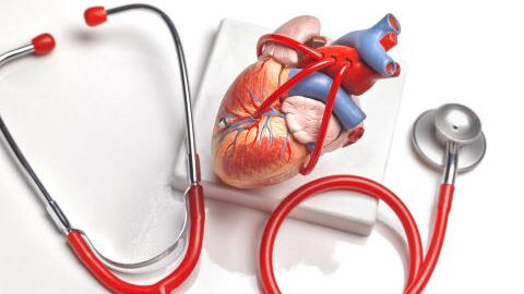 High cholesterol: This symptom could lead to amputation, doctors warn