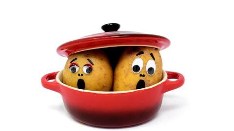 This common carbohydrate could actually help you lose weight, study shows