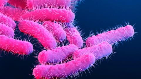Warning issued over 'serious public health' threat as antibiotic-resistant stomach bug spreads