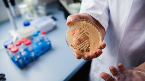 Health warning issued over spread of 'deadly' fungal infection, should we be worried?