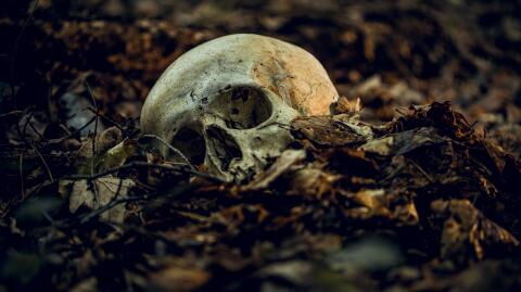 Skeletal remains of a 'vampire' woman from the 17th century discovered (PHOTO)
