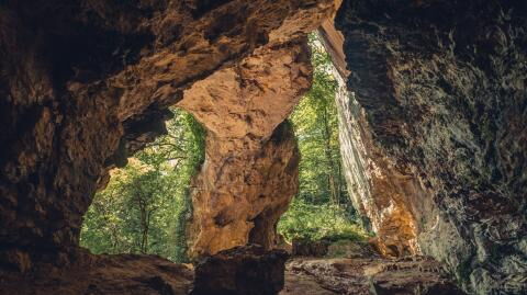 Secrets of a 35,000-year-old cave found thanks to animal excrement