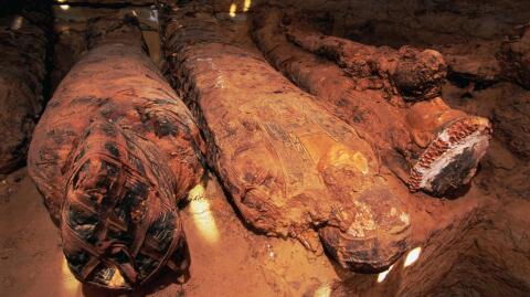 Egyptian queen Nefertiti's remains might already have been discovered 200 years ago