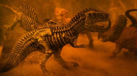 This popular dinosaur might have been as smart as a primate, according to study