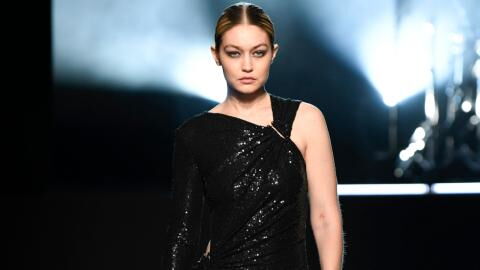 Leonardo DiCaprio and Gigi Hadid: Images of them getting 'close and personal' have been revealed