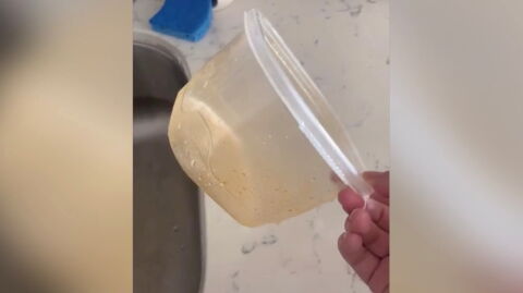 The perfect hack to get the stains out of plastic containers