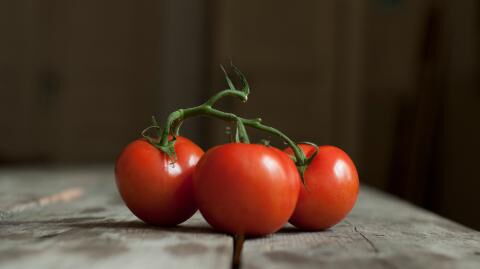 These 12 tips will help you grow the perfect tomatoes