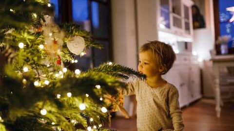 Aldi are lighting up December with these tasteful alternative Christmas trees