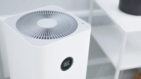 These scientific tips will help you survive the summer without air conditioning