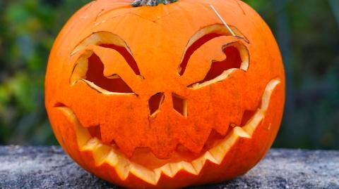 This is what you should do with your Halloween pumpkin, instead of throwing it away