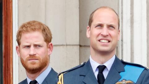 Prince William and Prince Harry will both attend Diana Legacy Awards