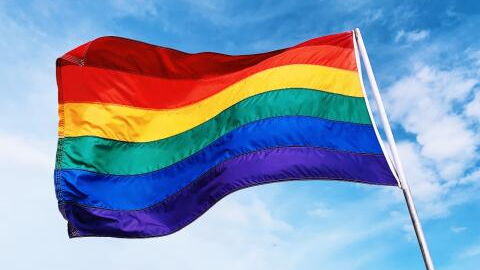 Pride month: The LGBTQIA+ flag has changed since it was first created, here's why