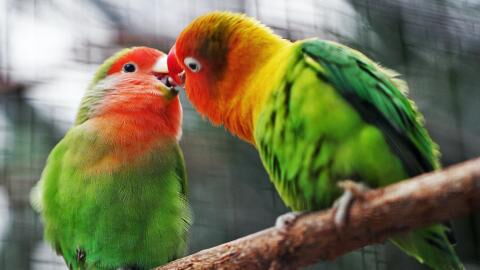 Hooking up might become a thing of the past thanks to COVID