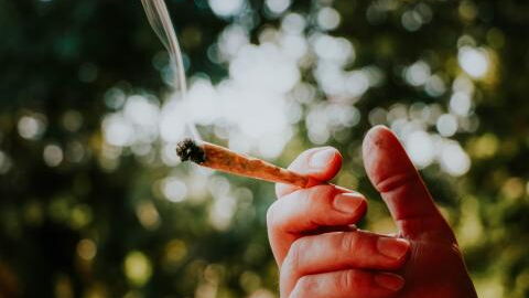 Amazon to stop weeding out job applicants who smoke marijuana