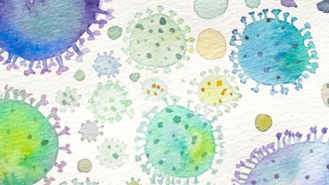 COVID: Should you be worried about the IHU variant?