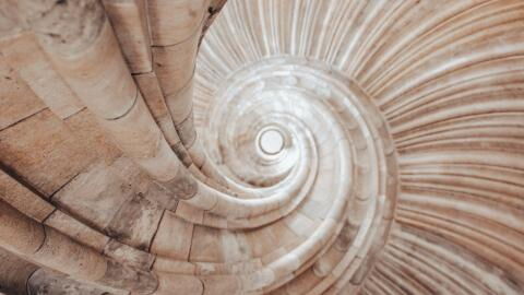 Optical illusion: What you see depends on the time of year