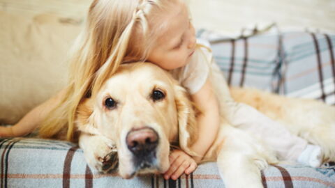 How Petting Your Dog Can Strengthen Your Bond