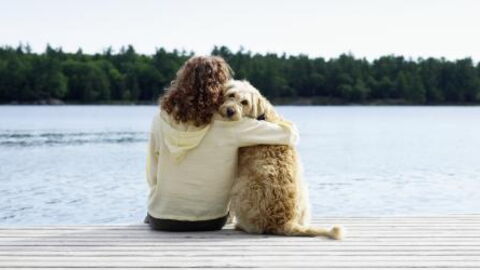 If You Love Your Pets You Need To Know These Animal First Aid Tips