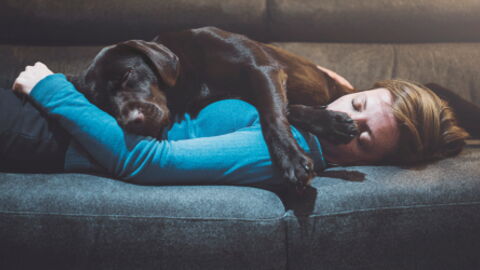 What You Should Do To Stop Your Dog Following You All Over The House